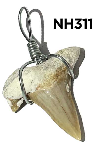 sharktooth
