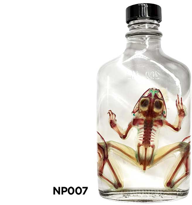 NP007