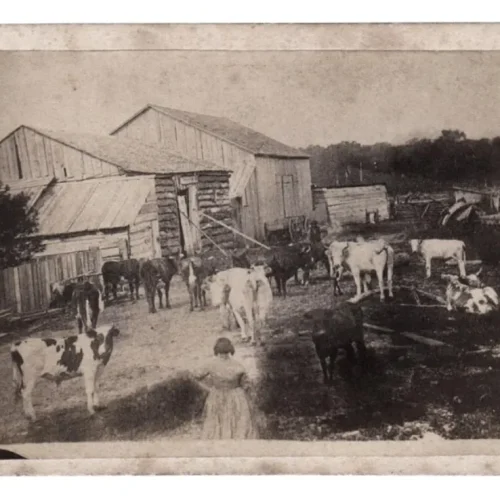 Exceptional Mid 19th century Outdoor Farm Scene CDV