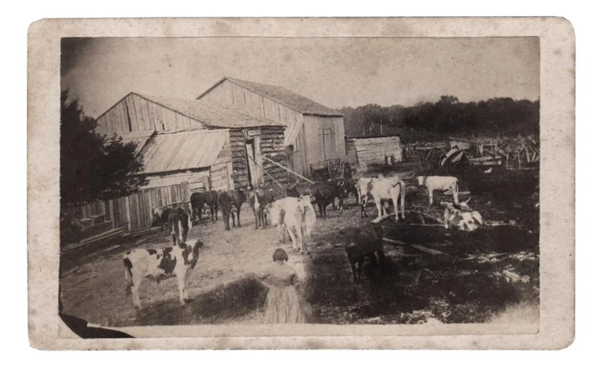 Exceptional Mid 19th century Outdoor Farm Scene CDV
