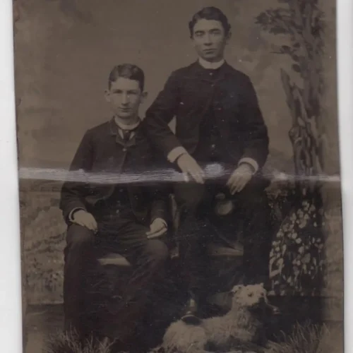 Tintype of Young Men With Taxidermy Dog Prop