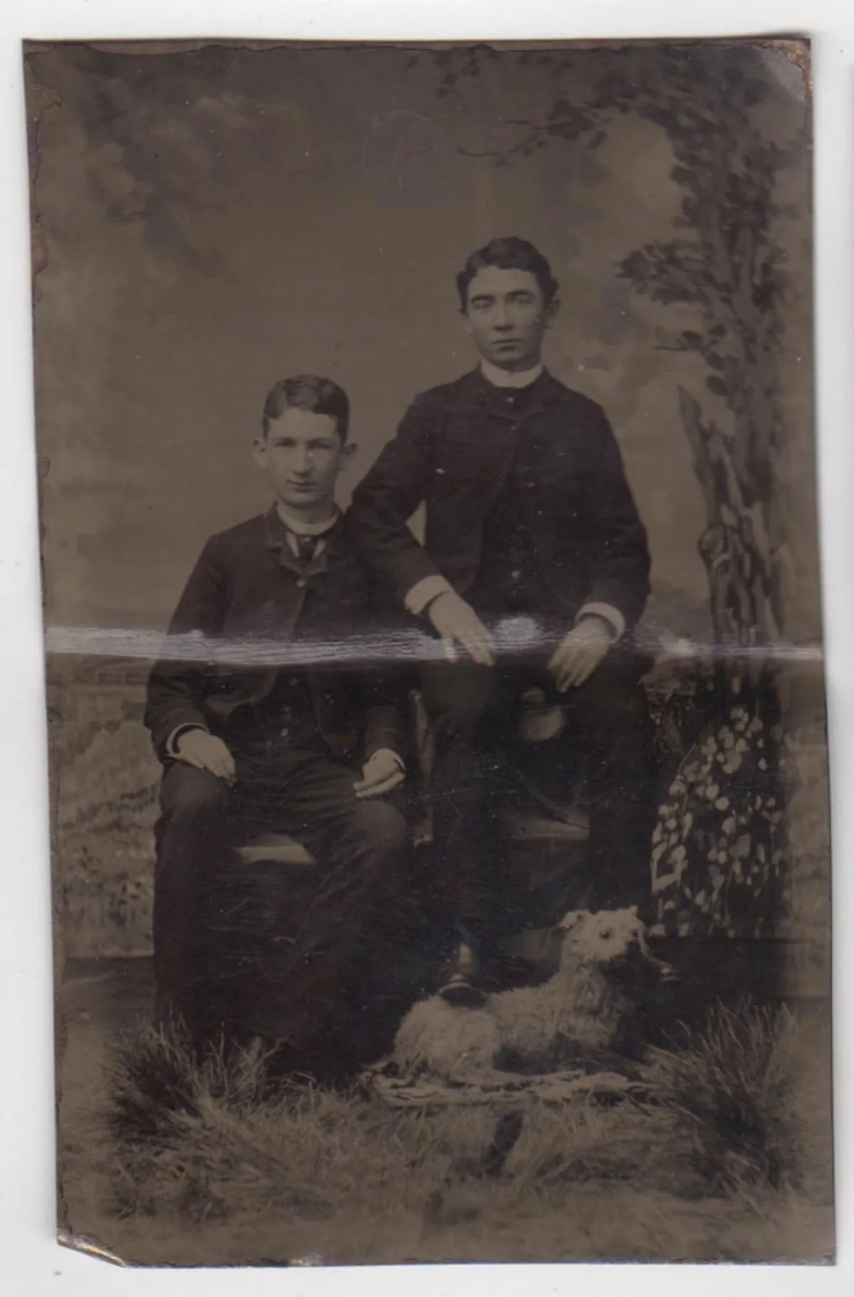 Tintype of Young Men With Taxidermy Dog Prop