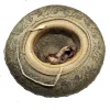 Outstanding Mid 1800s Elite Mexican Sombrero