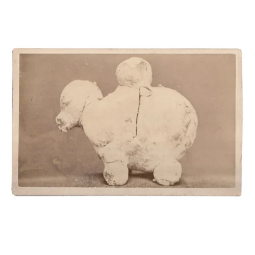 Mid 19th Century Sideshow Oddity CDV Photograph