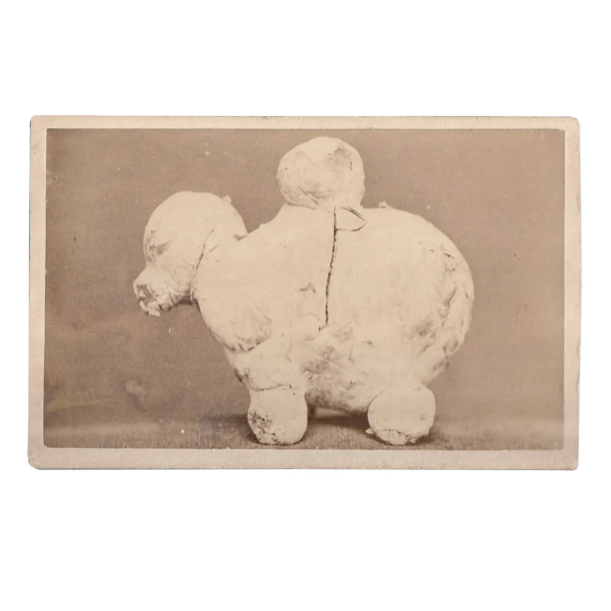 CS0061 Mid 19th Century Sideshow Oddity CDV Photograph