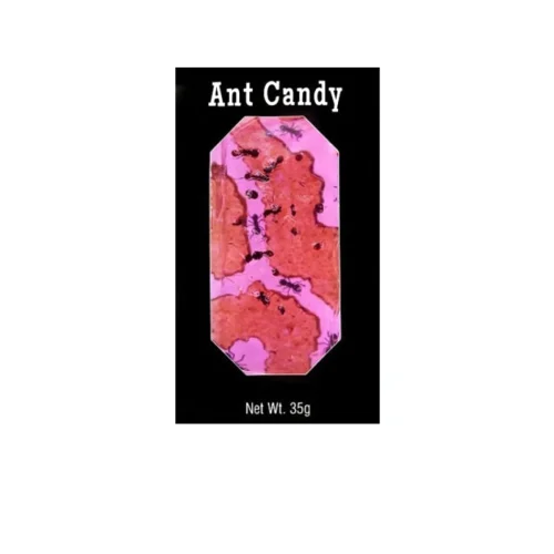 Ant Cherry Candy with Real Black Ants