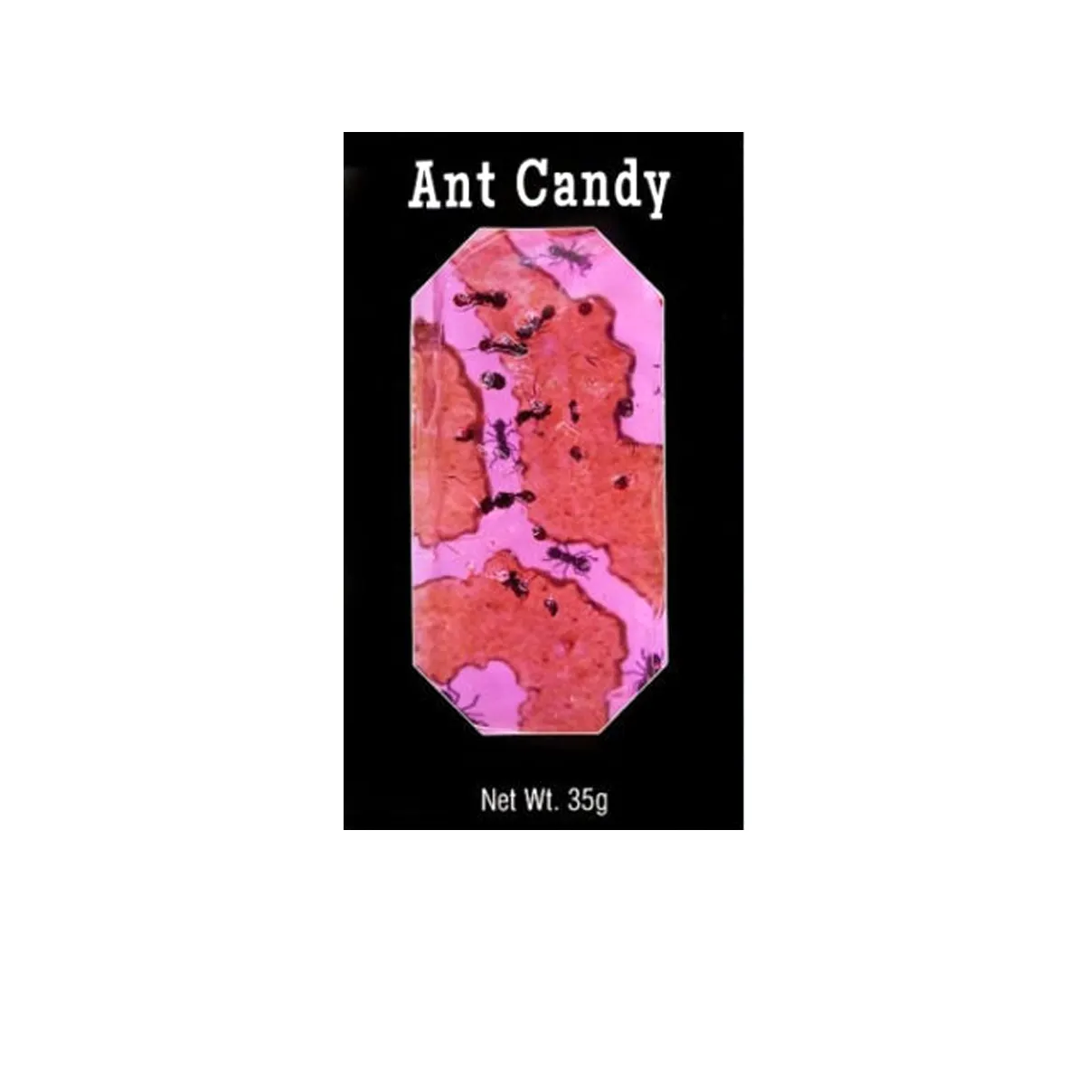 EI008 Ant Cherry Candy with Real Black Ants