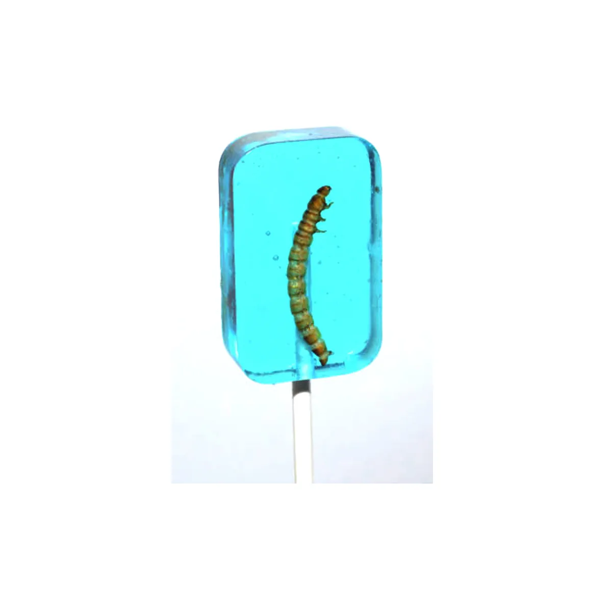 Blueberry Worm Suckers