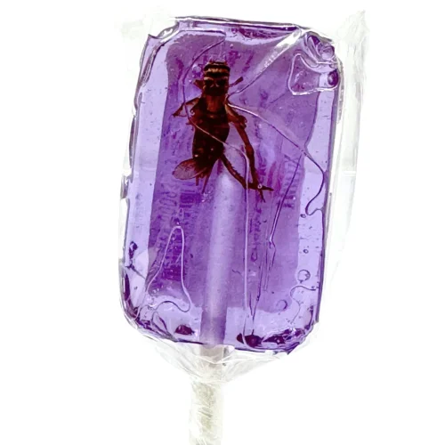 HotLix Grape Cricket Lollipops