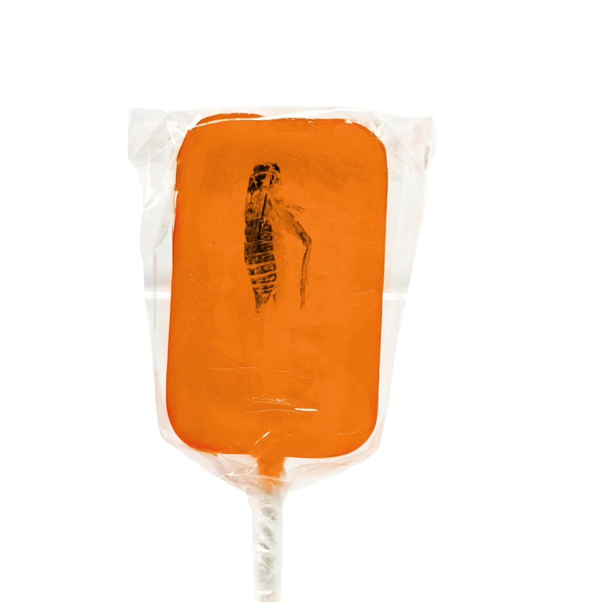 EI029-scaled HotLix Orange Cricket Lollipops