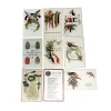 Collection of WW1 German Military Patriotic Post Cards