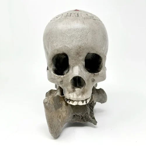 Templar Carved Skull Artist Sculpt
