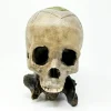 Masonic Carved Skull The Rupert Lockfield Collection