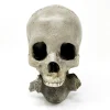 Sator Square Carved Skull The Rupert Lockfield Collection