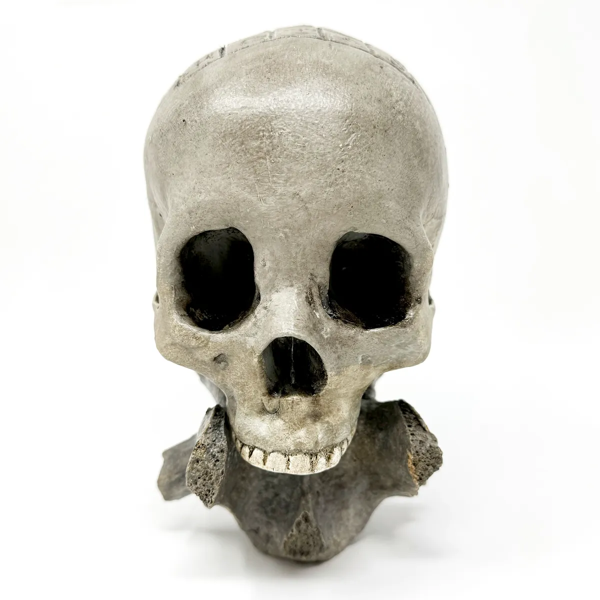 Sator Square Carved Skull The Rupert Lockfield Collection