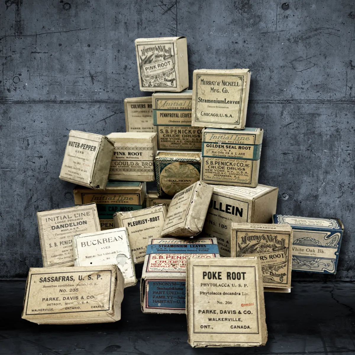 Antique Water Pepper Herbal Medicine Box with Contents