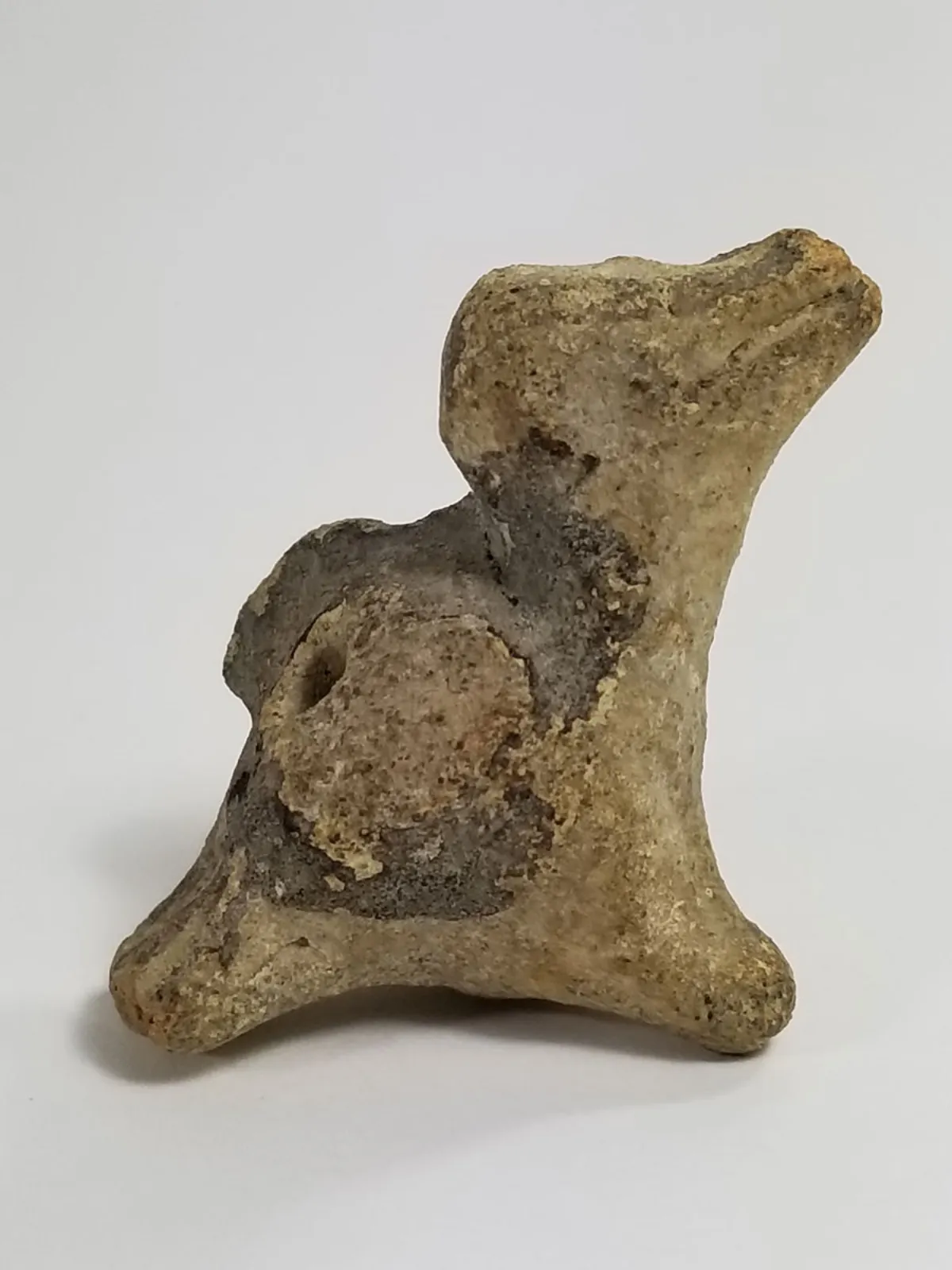 Small Pre-Columbian Bird Figure