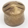South American Gold Lambret or Lip Plug
