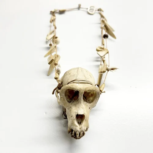 IP1411 Dayak Tribal Macaque Monkey Skull Necklace