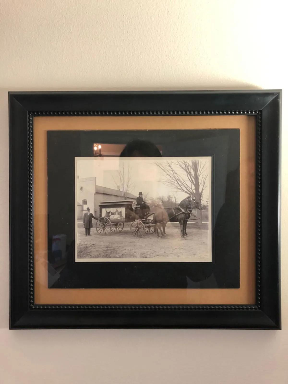 19TH CENTURY FUNERAL CARRIAGE PHOTOGRAPH OTTERVILLE ONTARIO