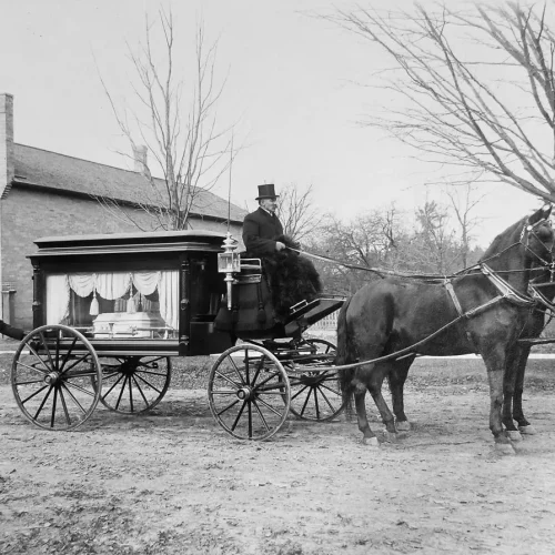 MA013-Main-Image 19TH CENTURY FUNERAL CARRIAGE PHOTOGRAPH OTTERVILLE ONTARIO
