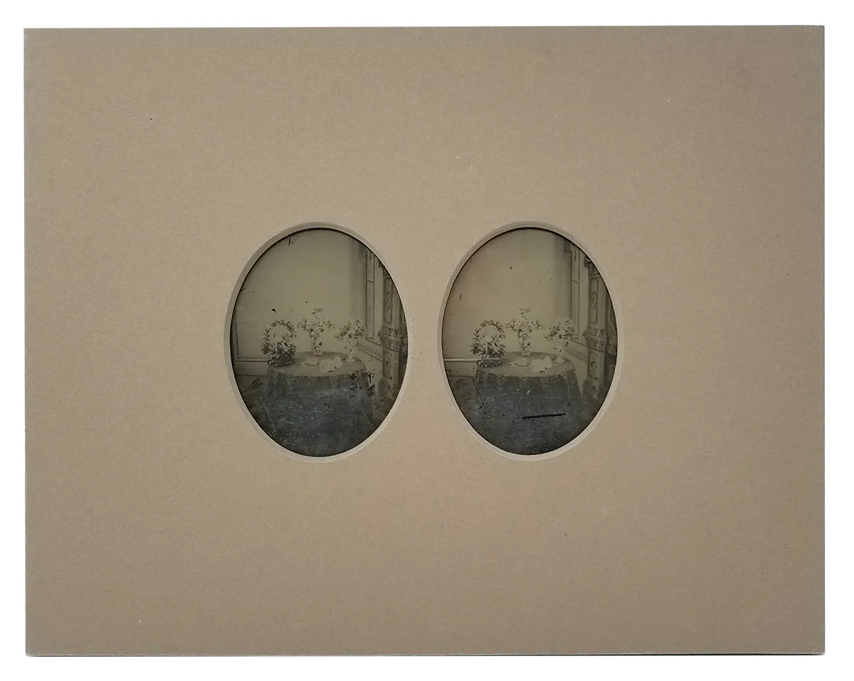 Rare Ambrotype Stereoview Salesman Sample Still Life Flower Funeral Arrangement