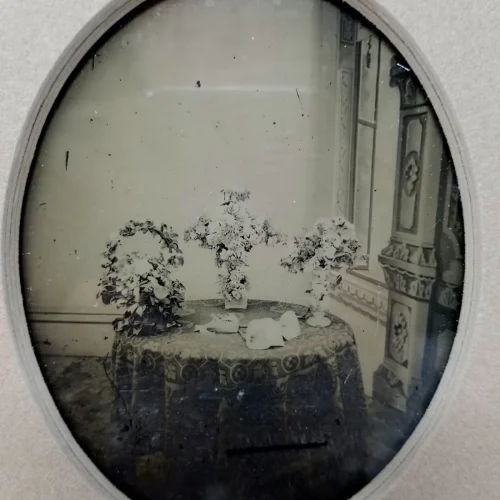 Rare Ambrotype Stereoview Salesman Sample Still Life Flower Funeral Arrangement