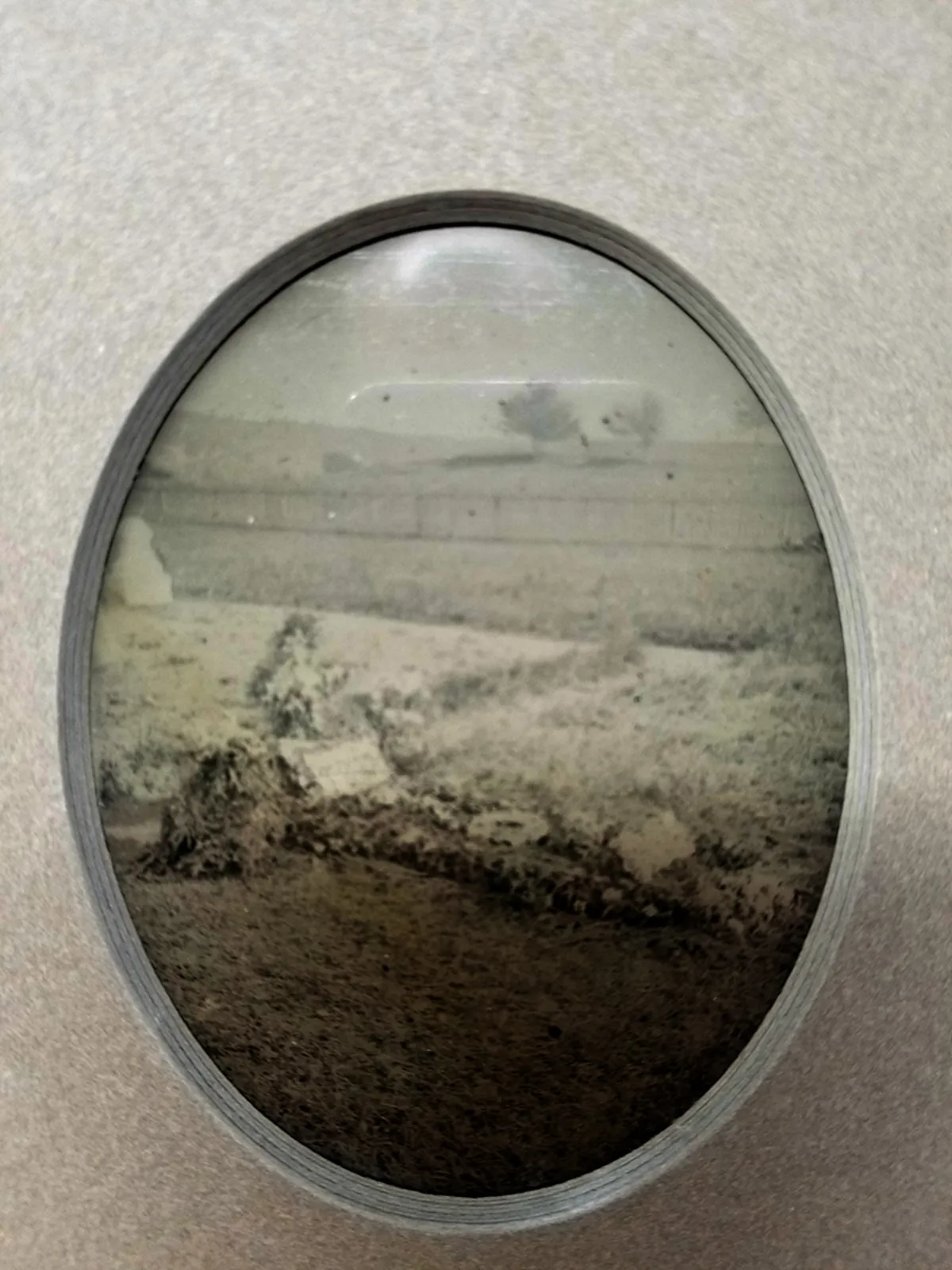 Rare Ambrotype Stereoview Salesman Sample Still Life Graveside Flower Arrangement