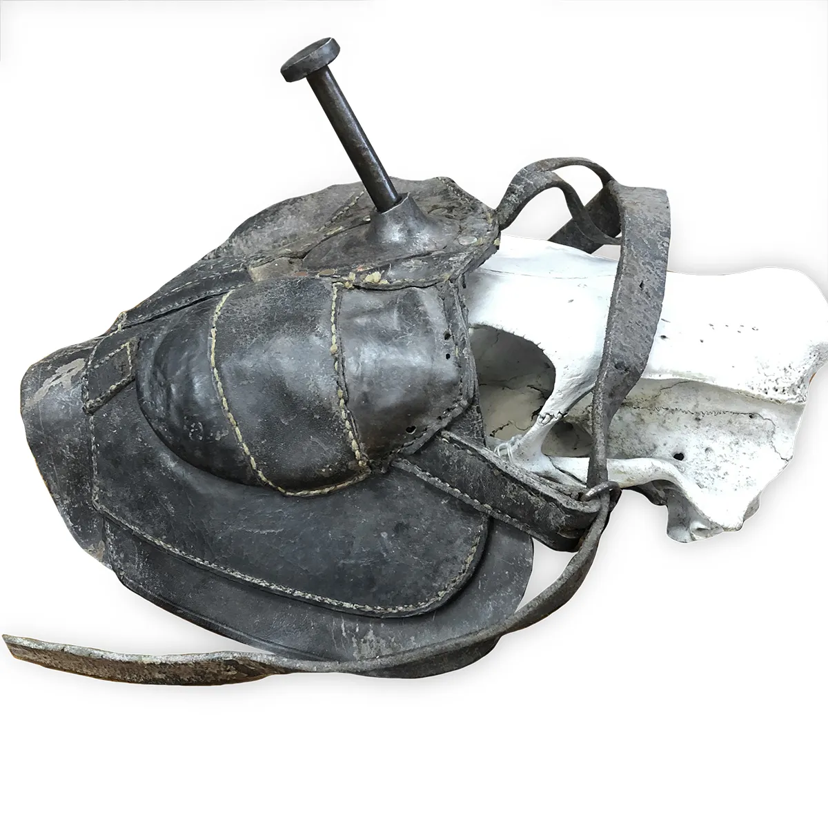 Rare 19th Century French A.M. Bruneau Slaughterhouse Mask
