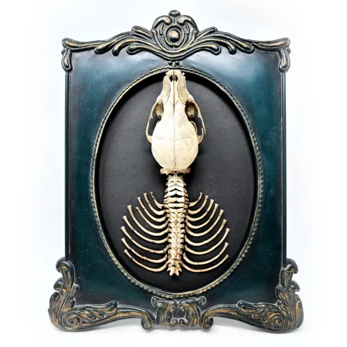 Original Skeletal Art Vintage Frame
