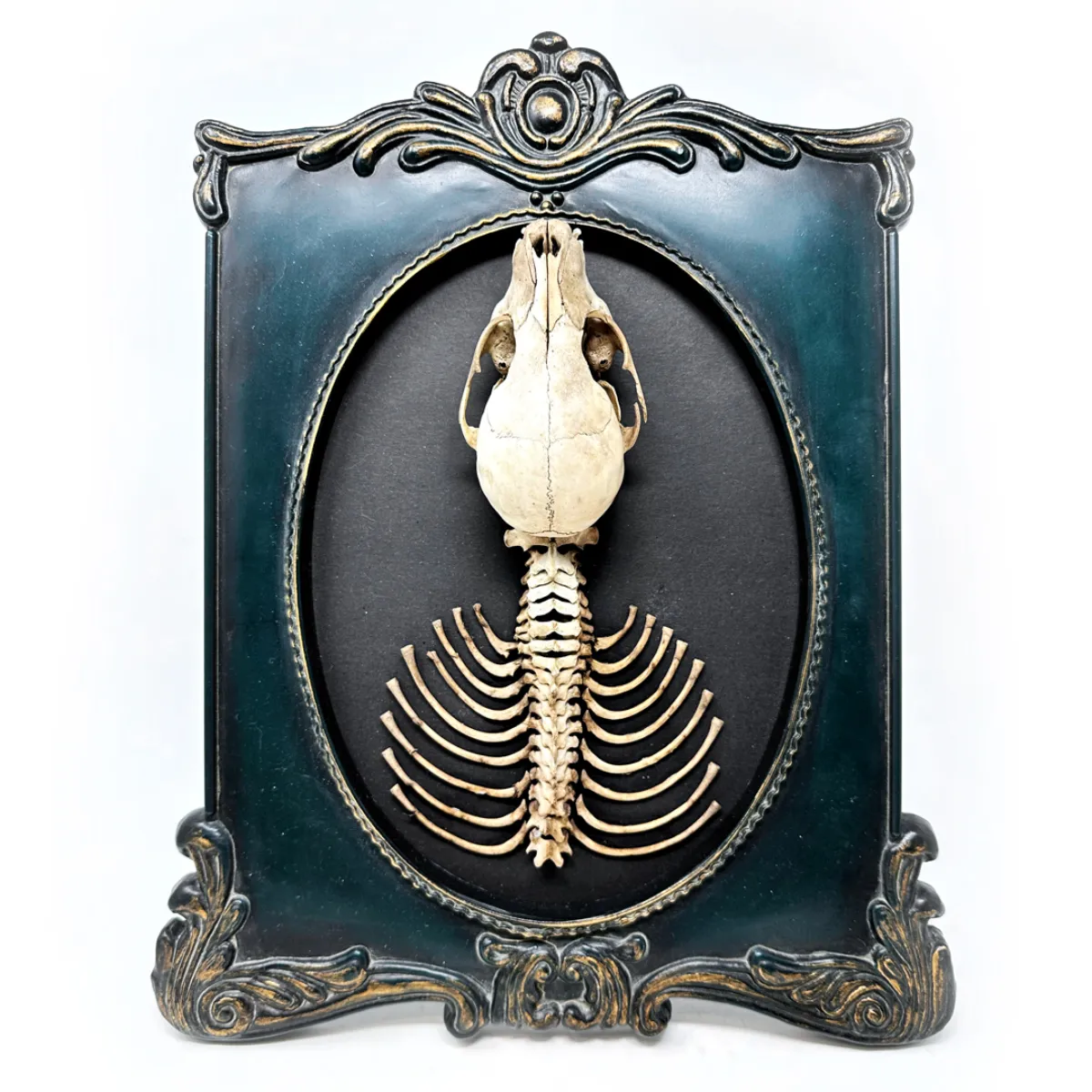 MA117 Original Skeletal Art Vintage Frame