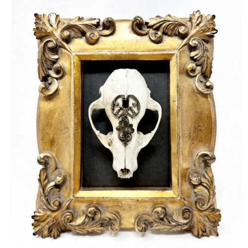 Original 3D Skull Art Vintage Gold Decorative Frame