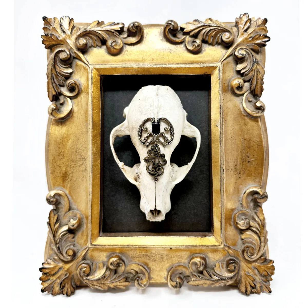 Original 3D Skull Art Vintage Gold Decorative Frame