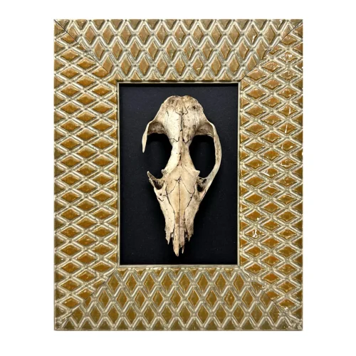 Original Real Skull Art Vintage Gold Frame