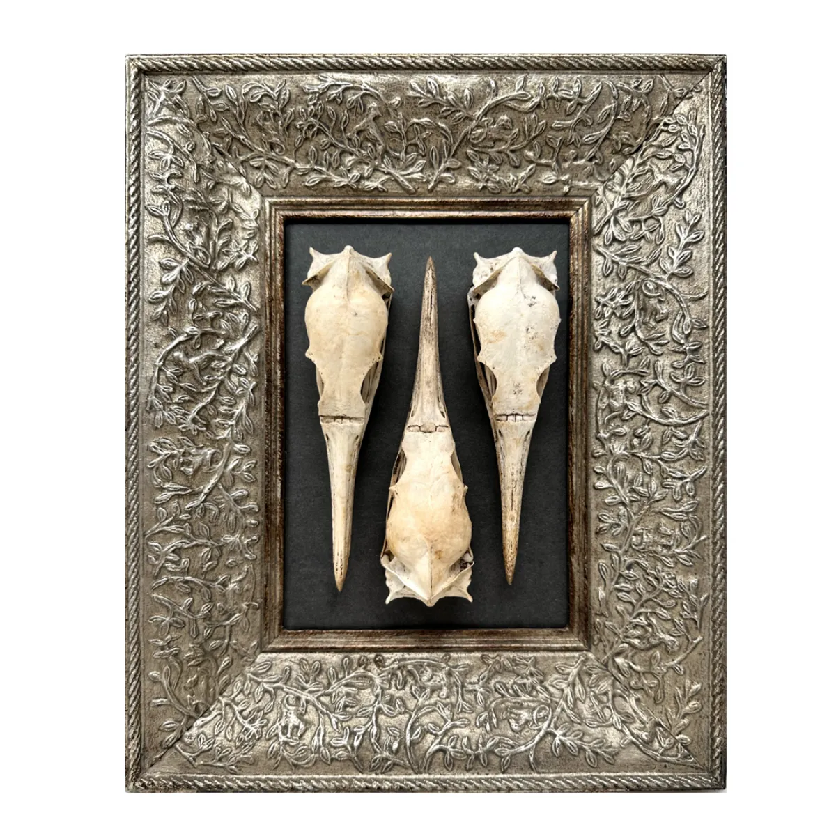 MA124 Original Real Skull Art Vintage Frame