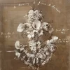 MA1522 Extraordinarily Large Memento Mori Memorial Large Format Photograph