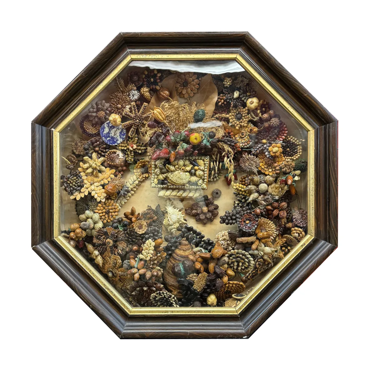 Outstanding Victorian Seed and Seashell Memorial Style Shadow Box