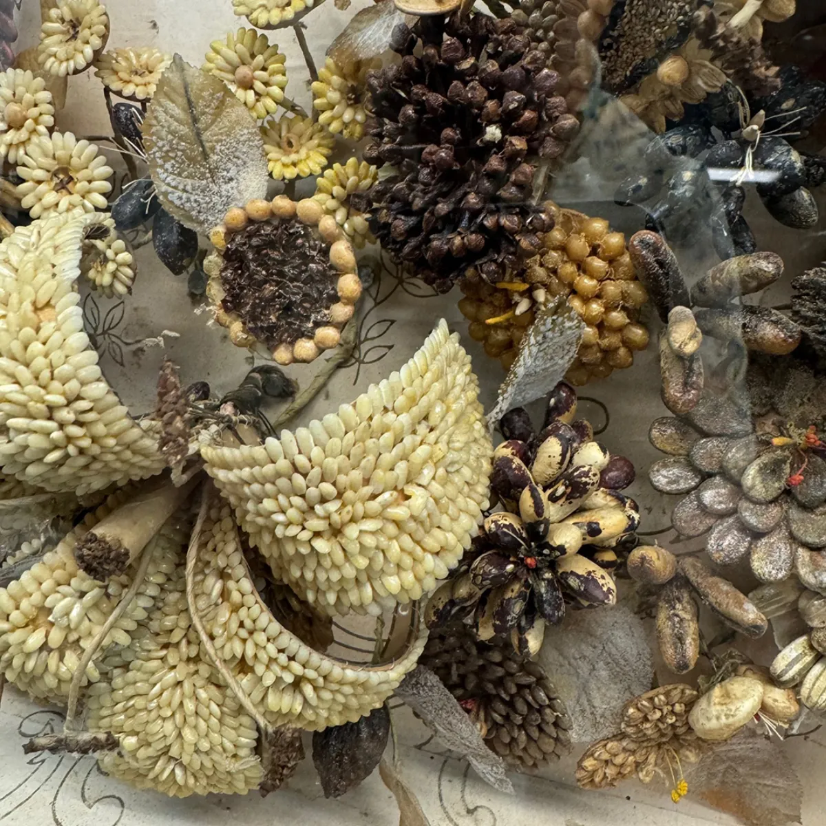 Outstanding Victorian Seed and Seashell Memorial Style Shadow Box
