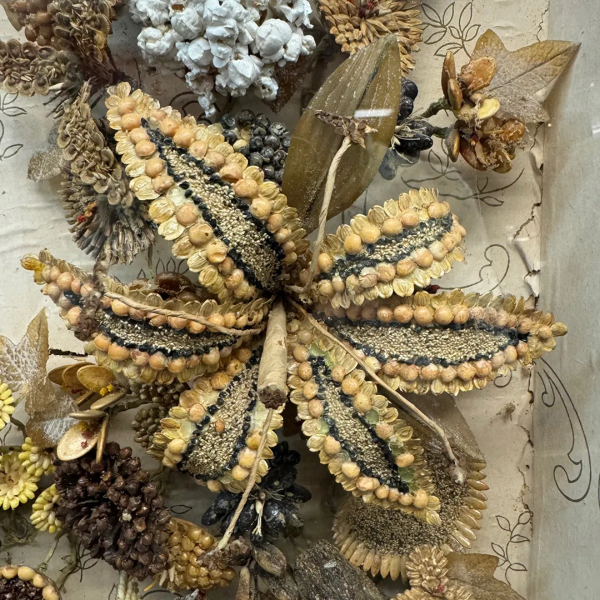 Outstanding Victorian Seed and Seashell Memorial Style Shadow Box