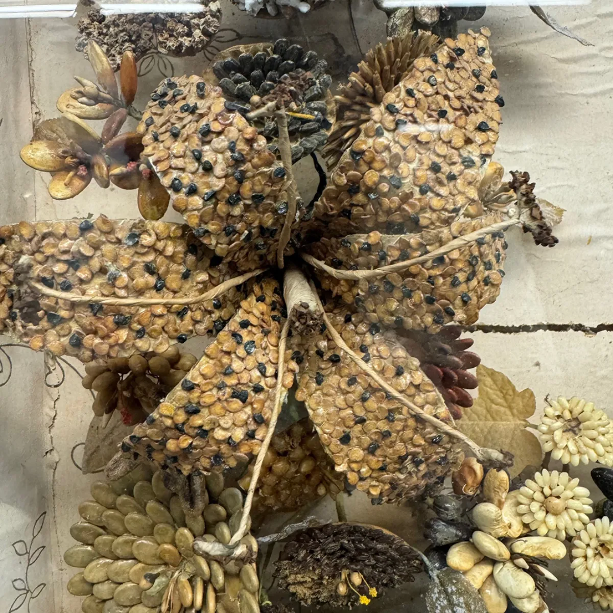 Outstanding Victorian Seed and Seashell Memorial Style Shadow Box