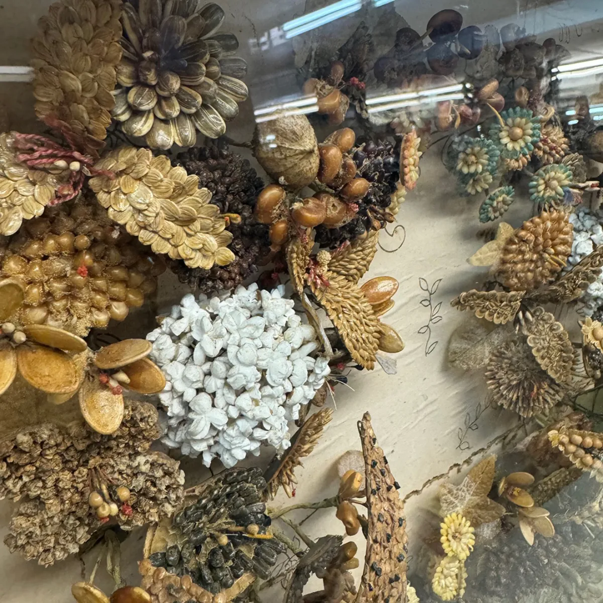 Outstanding Victorian Seed and Seashell Memorial Style Shadow Box
