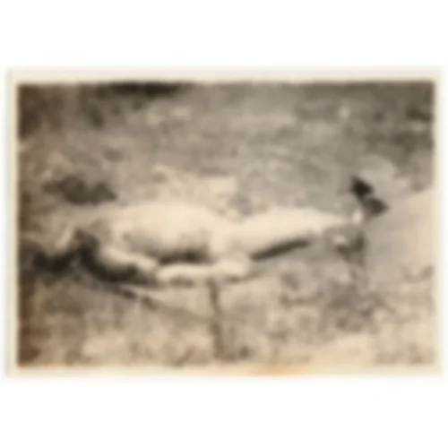 Horrific Death Photographs Lot of Two – Images Contain Graphic Content