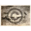 MD0052 Horrific Death Photographs Lot of Two – Images Contain Graphic Content