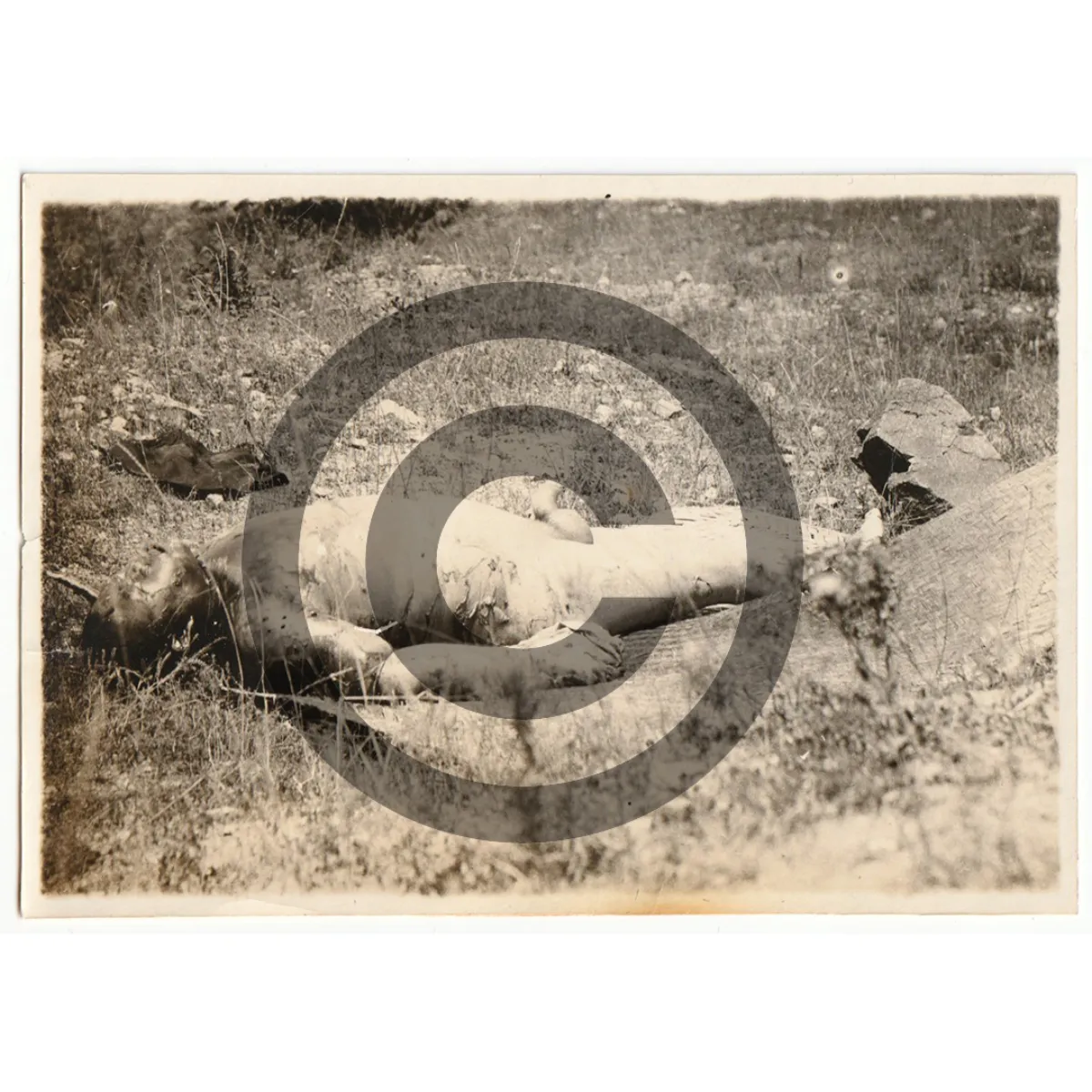 MD0052 Horrific Death Photographs Lot of Two – Images Contain Graphic Content