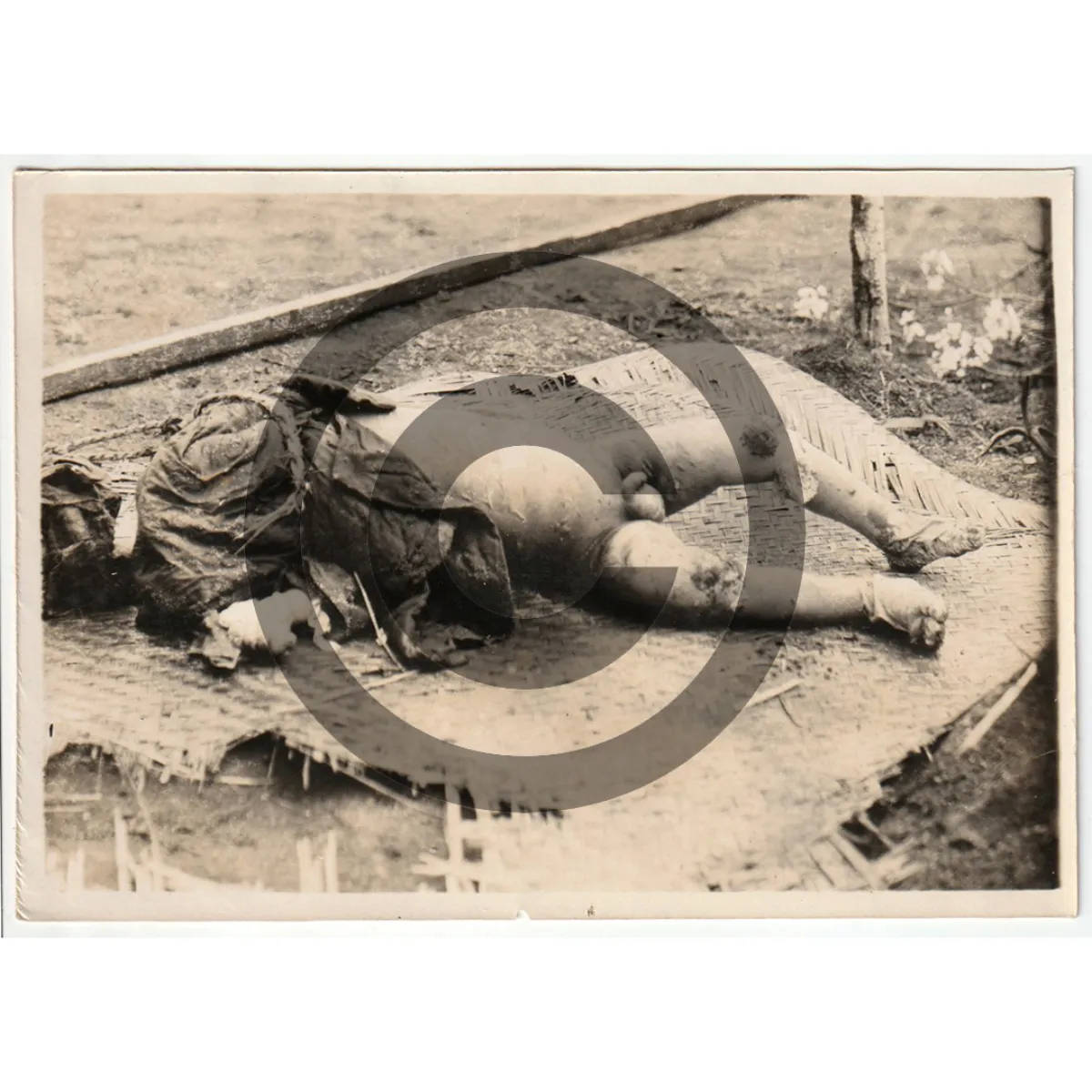 MD0053 Horrific Death Photographs Lot of Two – Images Contain Graphic Content
