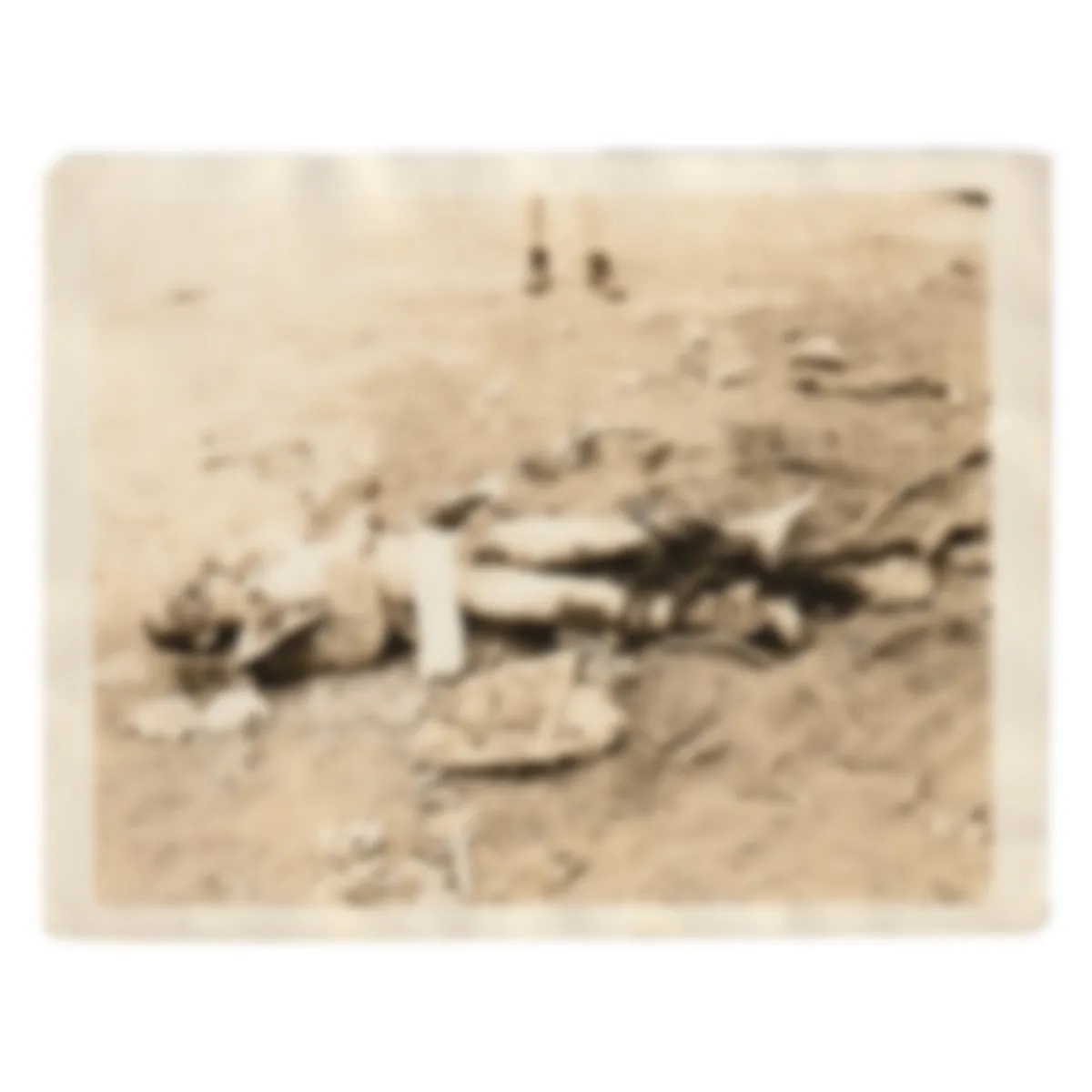 Horrific Death Photograph – Image Contain Graphic Content