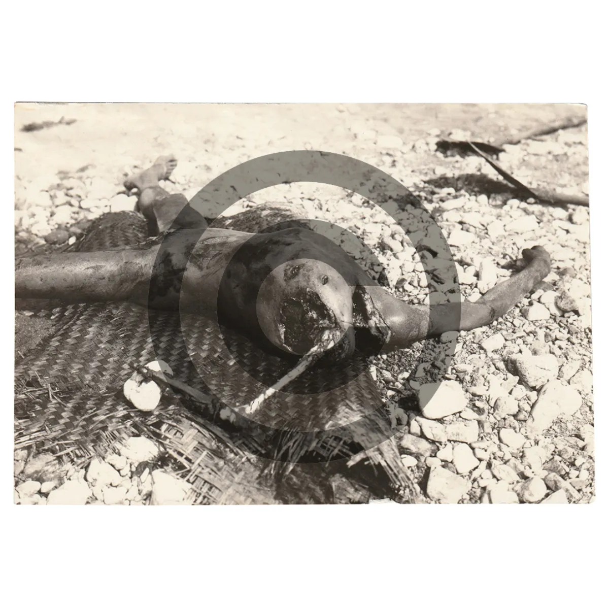 Horrific Death Photo – Images Contain Graphic Content