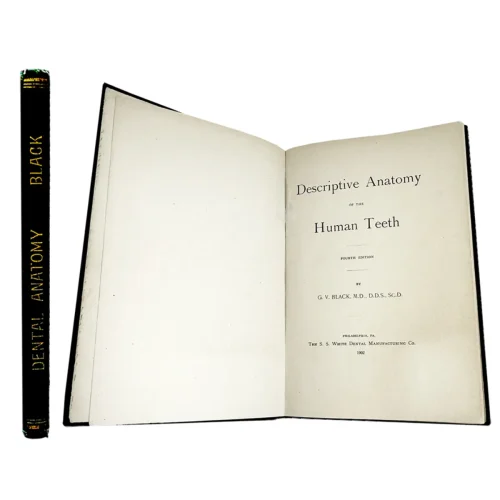 Descriptive Anatomy of the Human Teeth