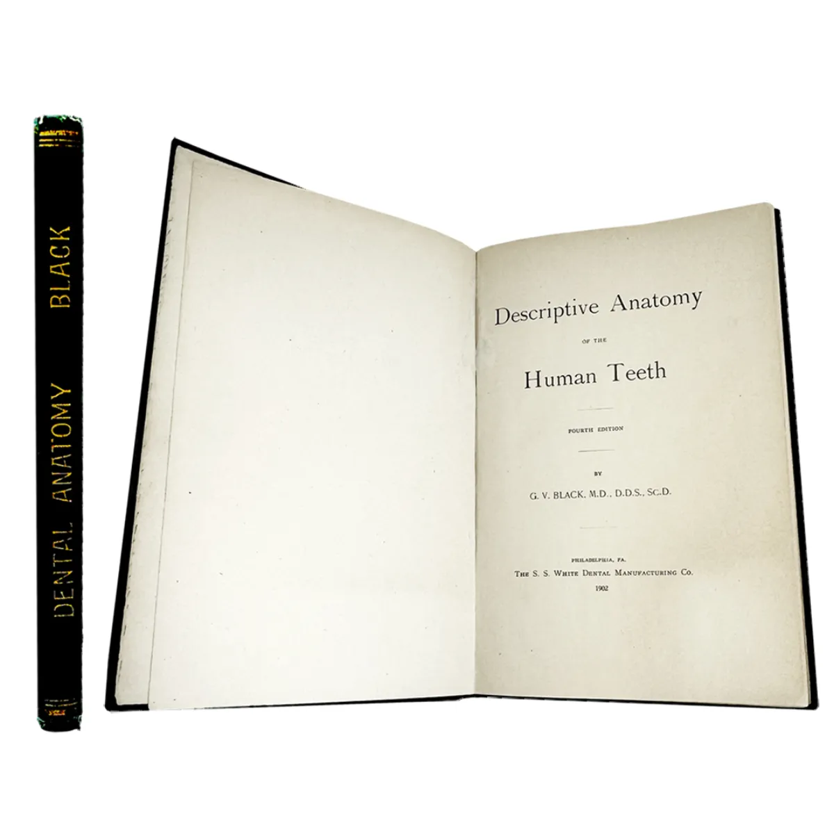 Descriptive Anatomy of the Human Teeth