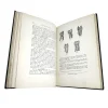 Descriptive Anatomy of the Human Teeth